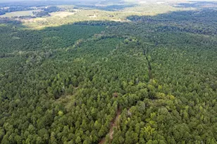 Tbd County Road 1582, Avinger, TX 75630 - Photo 2