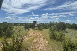 7800 Boswell Ct, Lipan, TX 76462 - Photo 1