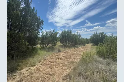 7800 Boswell Court, Lipan, TX 76462 - Photo 4