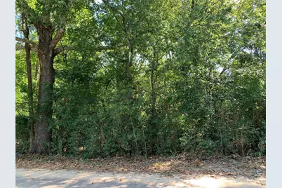 516 Chase Street, Athens, TX 75751 - Photo 2