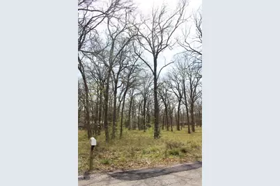 0 Arbolado Boulevard, Gun Barrel City, TX 75156 - Photo 4