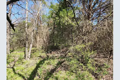 Lot 8 County Road 3401, Lone Oak, TX 75453 - Photo 38