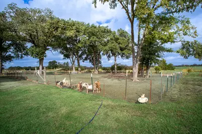 1170 Fm 1633, Mexia, TX 76667 - Photo 4