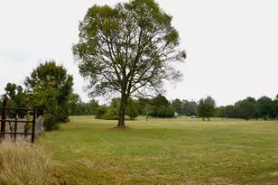 237 Co Rd 2937, Hughes Springs, TX 75656 - Photo 10