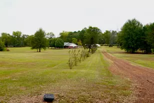 237 Co Rd 2937, Hughes Springs, TX 75656 - Photo 12