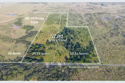 Tbd Tract 6 50 Acres Boren Road, Ringgold, TX 76261 - Photo 2
