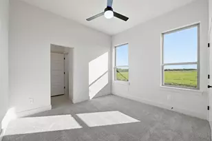 231 Sweetgrass Dr, Poolville, TX 76487 - Photo 14