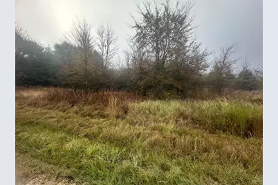 527 Tahiti Lane, Tool, TX 75143 - Photo 2