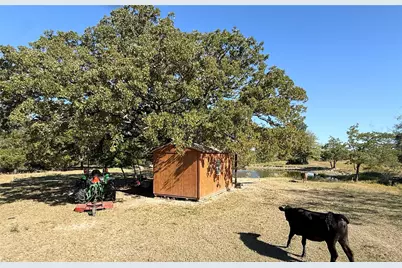 Tbd Fcr 601, Teague, TX 75860 - Photo 10