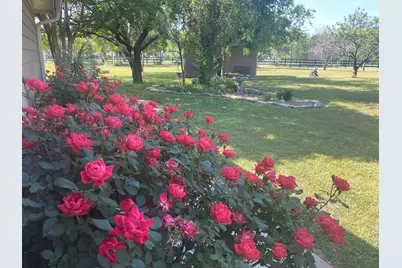 4536 County Road 132, Stephenville, TX 76401 - Photo 6