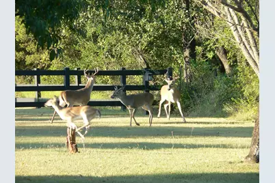 4536 County Road 132, Stephenville, TX 76401 - Photo 28
