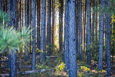 00 Farm To Market Road 23, Rusk, TX 75785 - Photo 14