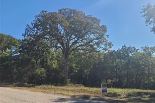521 Bronco Trail, Oak Point, TX 75068 - Photo 1