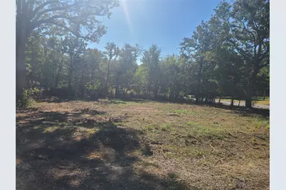 521 Bronco Trail, Oak Point, TX 75068 - Photo 4