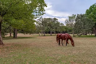 11349 S Fm 372, Valley View, TX 76272 - Photo 6