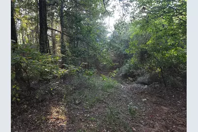 Tbd Cr 2864, Hughes Springs, TX 75656 - Photo 2