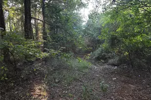 Tbd Cr 2864, Hughes Springs, TX 75656 - Photo 2