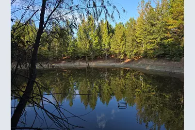 Tbd Cr 2864, Hughes Springs, TX 75656 - Photo 18