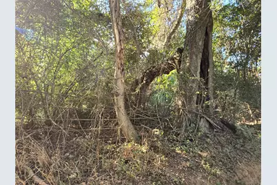 Tbd Cr 2864, Hughes Springs, TX 75656 - Photo 10