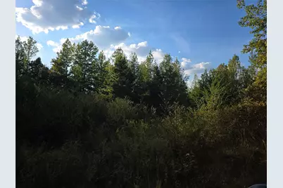 Tbd Cr 2864, Hughes Springs, TX 75656 - Photo 4