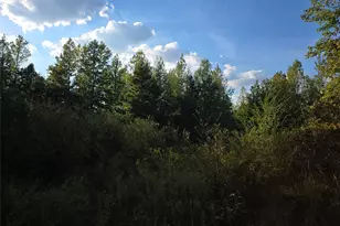 Tbd Cr 2864, Hughes Springs, TX 75656 - Photo 4