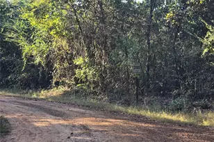 Tbd Cr 2864, Hughes Springs, TX 75656 - Photo 8