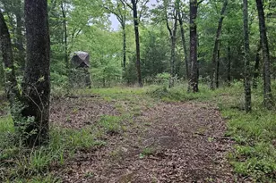 01 Private 5401 Rd, Malakoff, TX 75148 - Photo 2