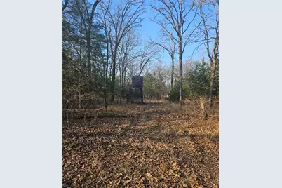 01 Private 5401 Road, Malakoff, TX 75148 - Photo 4