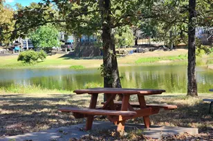 3434 N Fm 17 N, Alba, TX 75410 - Photo 8