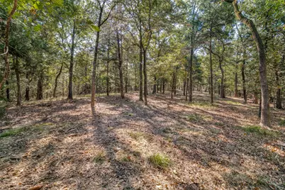 16020 SE County Road 2359B, Streetman, TX 75859 - Photo 6