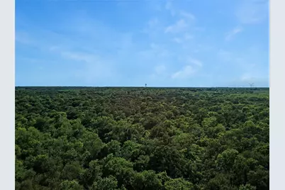 7304 Shady Lane, Scurry, TX 75158 - Photo 6