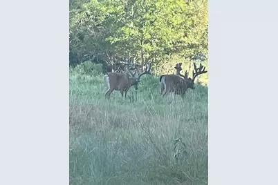 7304 Shady Lane, Scurry, TX 75158 - Photo 8