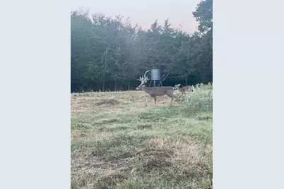 7304 Shady Lane, Scurry, TX 75158 - Photo 20