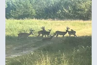 7304 Shady Lane, Scurry, TX 75158 - Photo 14