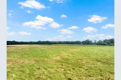 Tbd Cr 2920, Pittsburg, TX 75686 - Photo 6