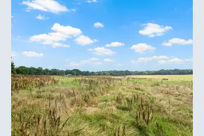 Tbd Cr 2920, Pittsburg, TX 75686 - Photo 2