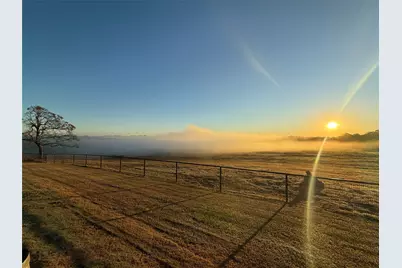 3222 Fm 1254, Mineola, TX 75773 - Photo 2