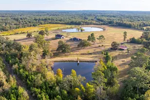 3222 Fm 1254, Mineola, TX 75773 - Photo 1