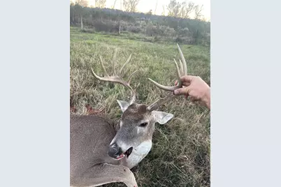 3222 Fm 1254, Mineola, TX 75773 - Photo 20