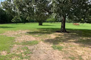 2066 Fm 1251, Beckville, TX 75631 - Photo 2