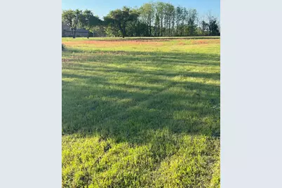 3951 Brushy Road, Granbury, TX 76048 - Photo 2