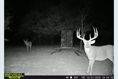 186 Martin Lane, Sadler, TX 76264 - Photo 38