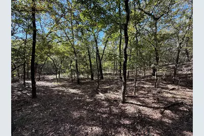 2301 Moseley Road, Savannah, TX 76227 - Photo 12