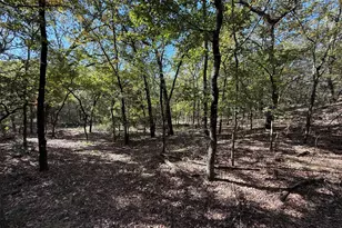 2301 Moseley Rd, Savannah, TX 76227 - Photo 12