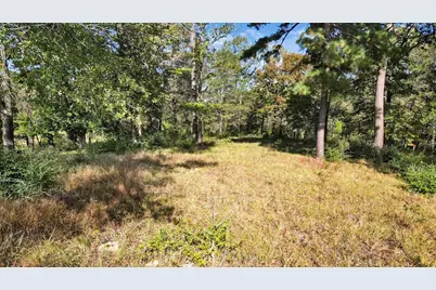 Tbd Pr 3398 Road, Big Sandy, TX 75755 - Photo 10