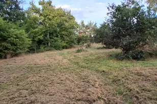 9463 Co Rd 4900, Wolfe City, TX 75496 - Photo 18