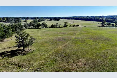 10769 County Road 3519, Murchison, TX 75778 - Photo 38