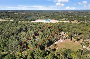 393 Vz County Rd, Canton, TX 75103 - Photo 12