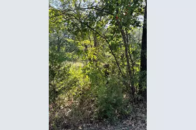 00 Pinewood Drive, Hawk Cove, TX 75474 - Photo 1
