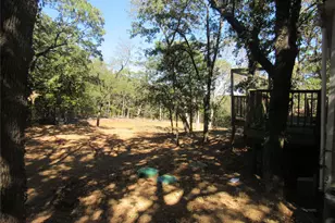 40 Cleveland Ave, Pottsboro, TX 75076 - Photo 4